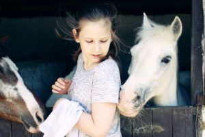 Animal assisted therapy