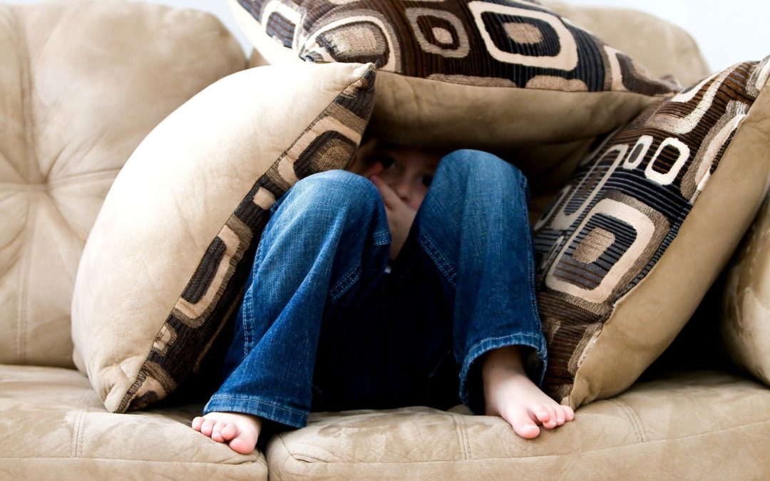 Autism Fears and Phobias