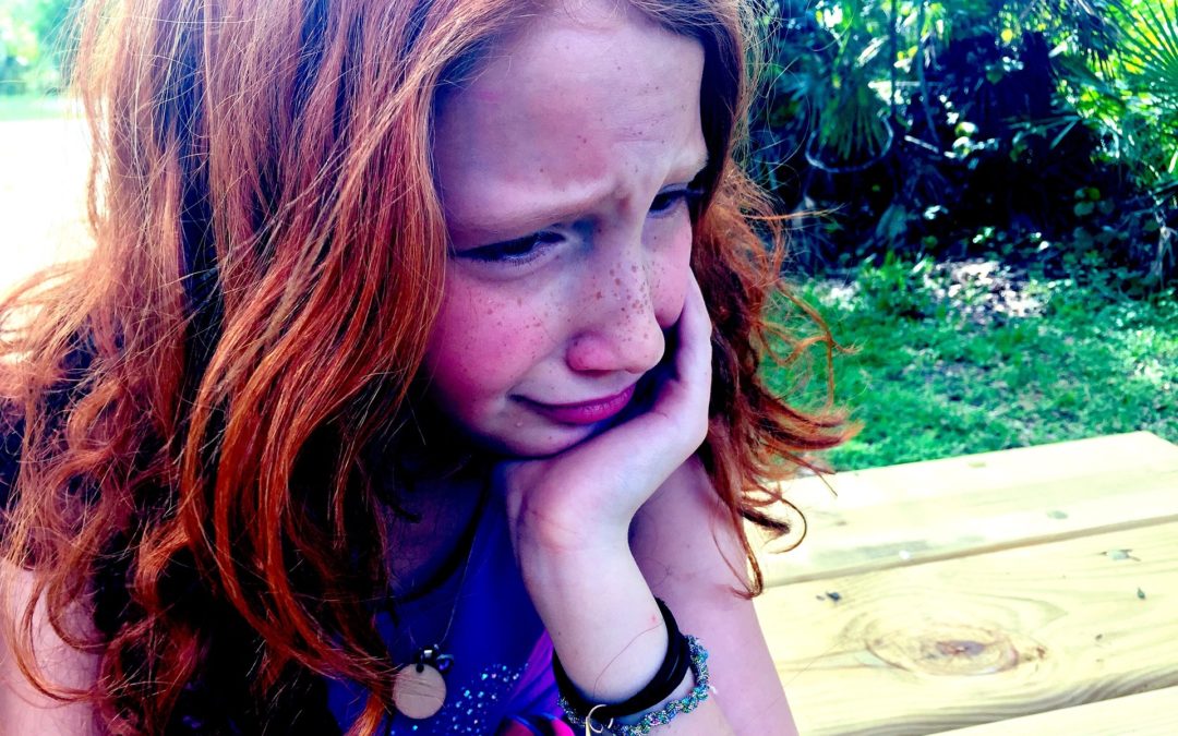 Understanding Meltdowns