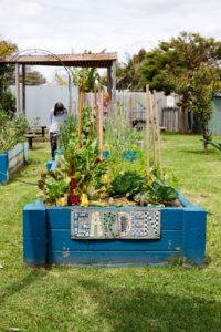 SASI's Seaford Hub
