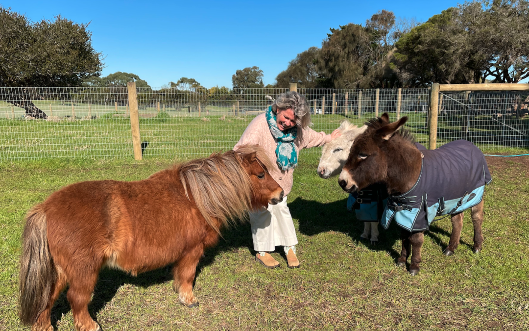 An unique approach to therapy works wonders with local ASD children