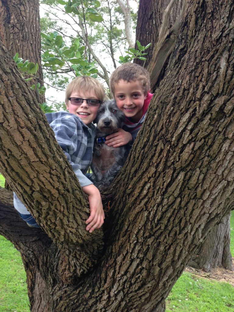 Final Blog from this SASI Blogger