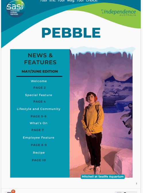 Pebble May/June 2025 edition